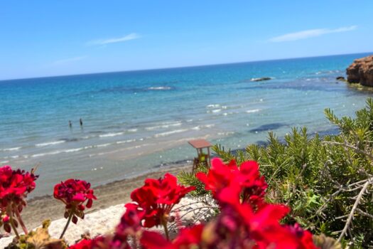 3 bedroom Villa for sale in Villamartin