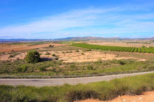 5 bedroom Villa for sale in Balsicas