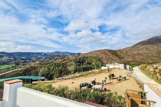 3 Bed Detached Villa for sale in Mijas, Costa del Sol