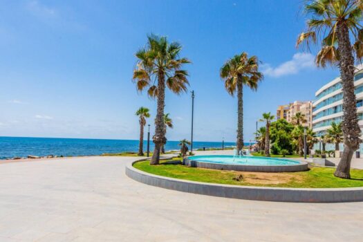 Opportunity in La Mata ground floor with 1 bedroom plot