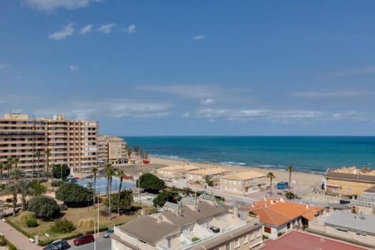 Studio 100 metrů od pláže La Mata (Torrevieja)