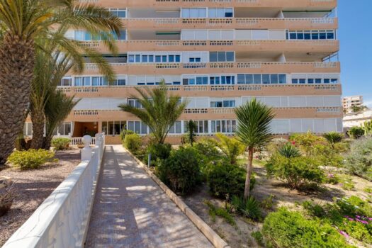 Studio 100 metrů od pláže La Mata (Torrevieja)