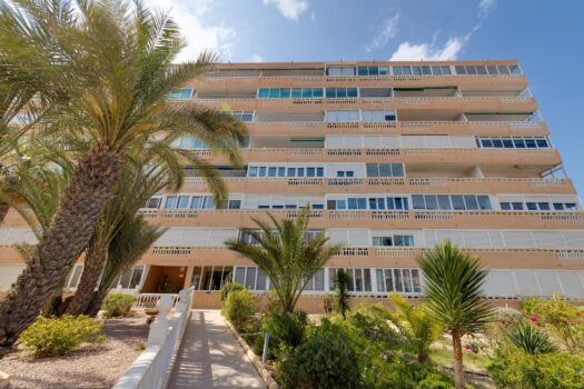 Studio 100 metrů od pláže La Mata (Torrevieja)