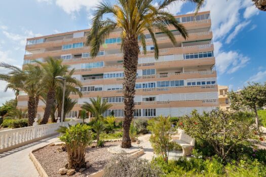 Studio 100 metrů od pláže La Mata (Torrevieja)